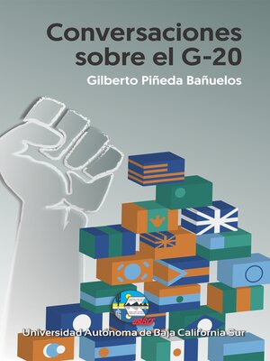 cover image of Conversaciones sobre el G-20